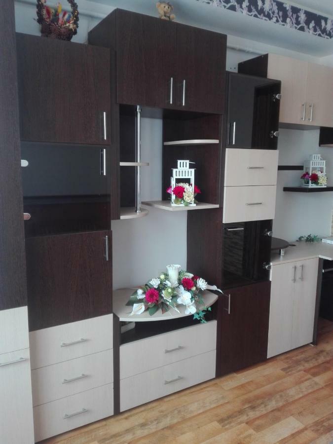 شقة براشوف  في Alexandra 'S Studio المظهر الخارجي الصورة